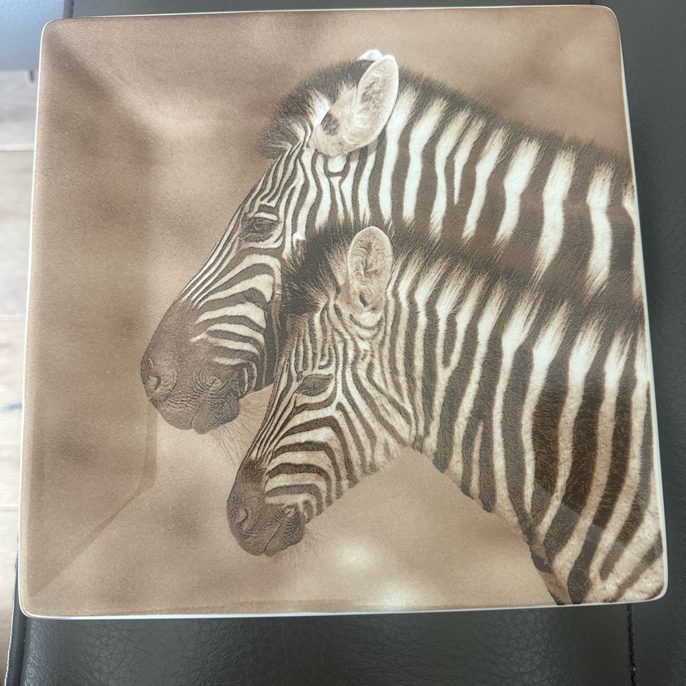 Zebra Art Square Plate